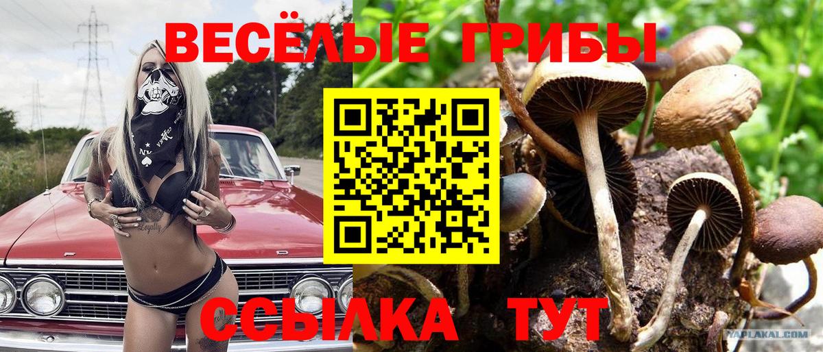 Псилоцибиновые грибы ЛСД  Галлюциногенные грибы Cubensis  Пермь  Вход с VPN 
